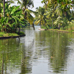 Alappuzha Houseboats