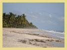 mararikulam