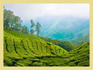 Munnar