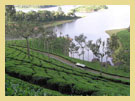 Munnar