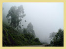 Munnar