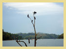 Thekkady