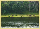 Thekkady