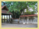 Varkala
