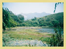 Wayanad