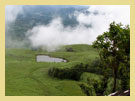 Wayanad