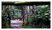 Hotels in wayanad
