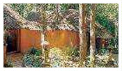 Hotels in wayanad