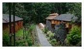 Hotels in wayanad