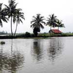 Kumarakom Houseboat Cruise In Backwaters