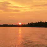 Kumarakom Houseboat Cruise In Backwaters